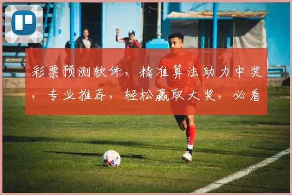 彩票预测软件，精准算法助力中奖，专业推荐，轻松赢取大奖，必看攻略