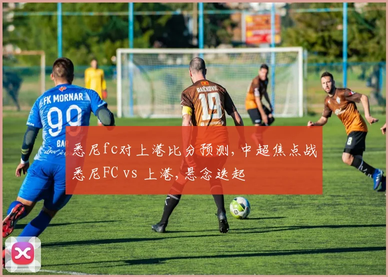 悉尼fc对上港比分预测,中超焦点战悉尼FC vs 上港,悬念迭起