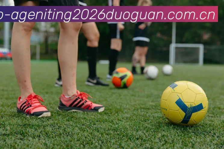 阿根廷世界杯2026夺冠概率APP 高清赛事图